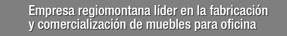 BANNER EMPRESA LIDER